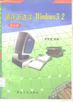循序渐进学Windows 3.2中文版