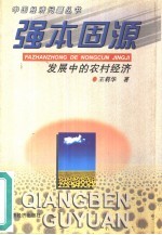 强本固源  发展中的农村经济