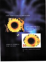 影像处理就是这么简单  第3章  向日葵