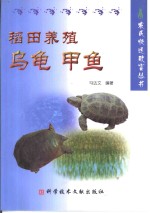 稻田养殖乌龟  甲鱼