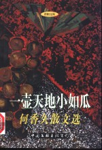 一壶天地小如瓜 封面