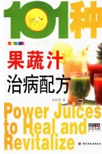 101种果蔬汁治病配方  恢复身体健康与活力的方法  全新彩装