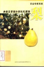 梨  病害及营养诊断彩色图谱