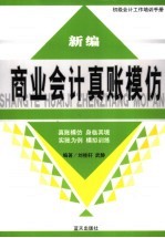 新编商业会计真账模仿