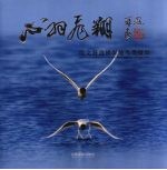 心羽飞翔  段文科盘景湿地鸟类摄影