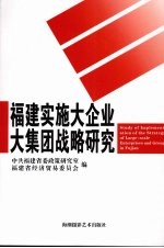福建实施大企业大集团战略研究 电子书封面