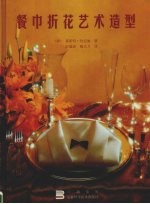 餐巾折花艺术造型