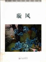 中国当代画家画丛  璇风