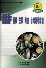 番荔枝  芒果  黄皮  台湾青枣栽培