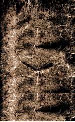 庸庵笔记 电子书封面