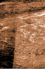 陈修园七十二种  十药神书注解卷全  急救经验良方  霍乱论  上、下  眼科捷径  伤寒舌诊  咽喉脉证通论  白喉治法抉微  白喉证治歌括  急救喉疹要法  喉痧正的 封面