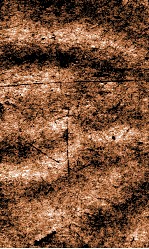 闺媛典  卷292-298