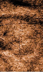 闺媛典  卷299-305