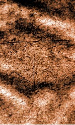 闺媛典  卷306-312