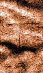 闺媛典  卷313-318