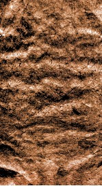 咫进斋丛书  8  大云山房十二章图说、棠湖诗稿