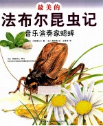 最美的法布尔昆虫记  音乐演奏家蟋蟀