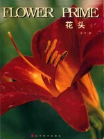 花头  1