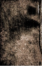 妬之花 电子书封面