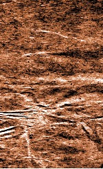 绛雪园古方选注  折伤科，上中下品药