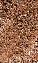 难经经释  卷上终