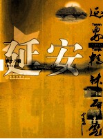 延安精神研究  18