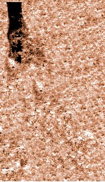 增补保赤心法附  卷上下