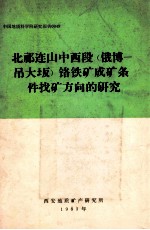 北祁连山中西段  俄博-吊大坂  铬铁矿成矿条件找矿方向的研究