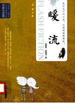 当代中国闪小说名家作品集  暖流 封面