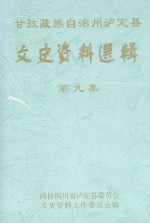 甘孜藏族自治州泸定县文史资料选辑  第9集