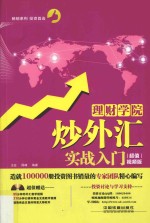 炒外汇实战入门  超值视频版