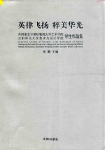 英律飞扬，粹美华光  英国谢菲尔德哈勒姆大学艺术学院沈阳师范大学美术与设计学院学生作品集