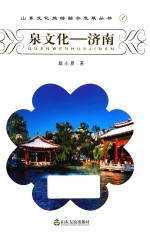 山东文化旅游融合发展丛书  泉文化  济南