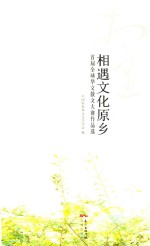 相遇文化原乡  首届全球华文散文大赛作品选