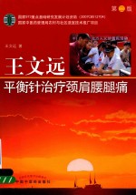 王文远平衡针治疗颈肩腰腿痛  第2版