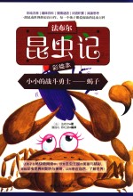 小小的战斗勇士  蝎子