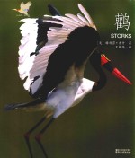 动物小百科  鹳