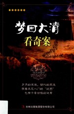 梦回大清  看奇案