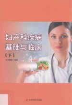 妇产科疾病基础与临床  下  第2版