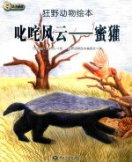 叱咤风云  蜜獾