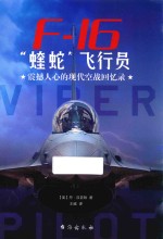 “蝰蛇”飞行员  震撼人心的现代空战回忆录
