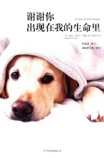 谢谢你出现在我的生命里