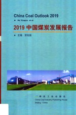 2019中国煤炭发展报告