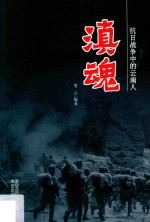 滇魂  抗日战争中的云南人