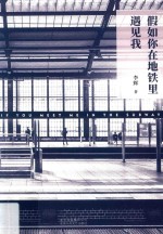 假如你在地铁里遇见我