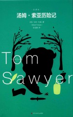 汤姆索亚历险记