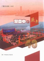 集美寻珍  13  聚变中的庆点