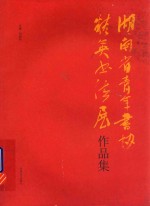 湖南省青年书协精英书法展作品集