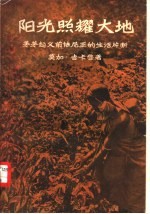 阳光照耀大地  茅茅起义前怯尼亚的生活片断