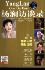 杨澜访谈录  第11辑